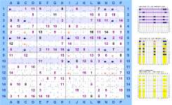 ../../images/Sudoku16x16_LogicSolver/BasicFishes/_Miniature/BasicFishes_Squirmbag_BaseSet_Righe1-3-6-8-10_CoverSet_ColonneA-C-I-N-O_eli8_small.png